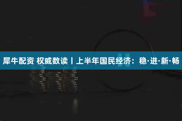 犀牛配资 权威数读丨上半年国民经济：稳·进·新·畅