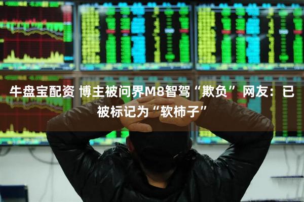 牛盘宝配资 博主被问界M8智驾“欺负” 网友：已被标记为“软柿子”