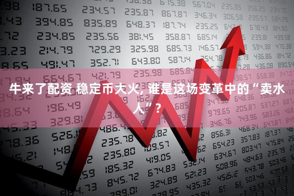 牛来了配资 稳定币大火, 谁是这场变革中的“卖水人”?