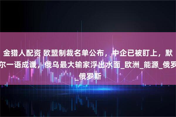 金猎人配资 欧盟制裁名单公布，中企已被盯上，默克尔一语成谶，俄乌最大输家浮出水面_欧洲_能源_俄罗斯