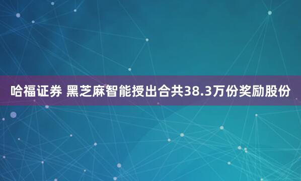 哈福证券 黑芝麻智能授出合共38.3万份奖励股份