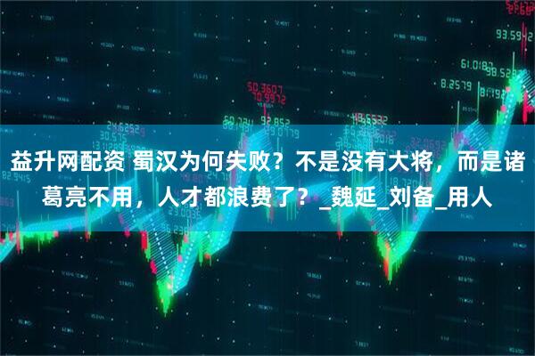 益升网配资 蜀汉为何失败？不是没有大将，而是诸葛亮不用，人才都浪费了？_魏延_刘备_用人